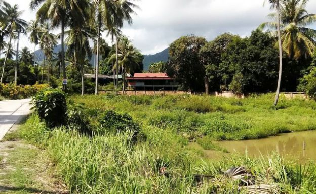 Prime Beachfront Land for Sale in Ban Tai
