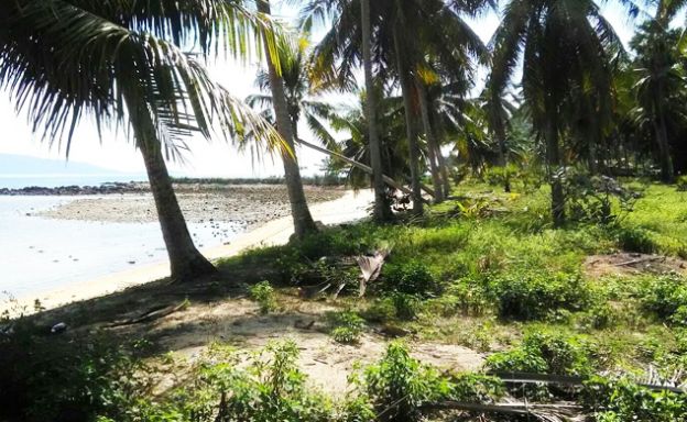 Prime Beachfront Land for Sale in Ban Tai