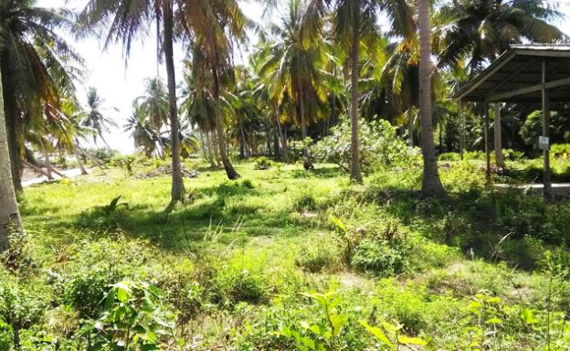 Prime Beachfront Land for Sale in Ban Tai