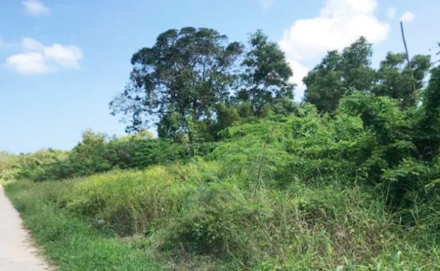 Premium Investment Land Plot by Bophut Beach
