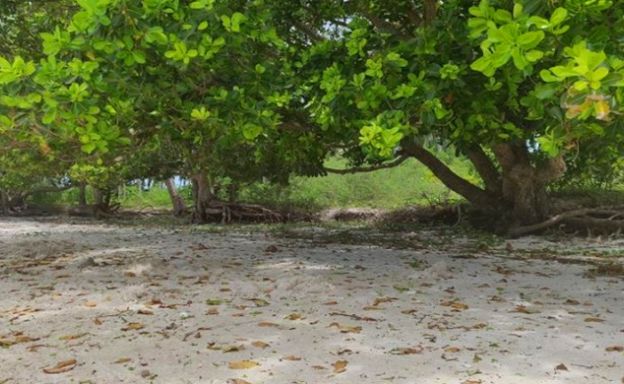 Beachfront Koh Samui Land on Pristine Thong Krut
