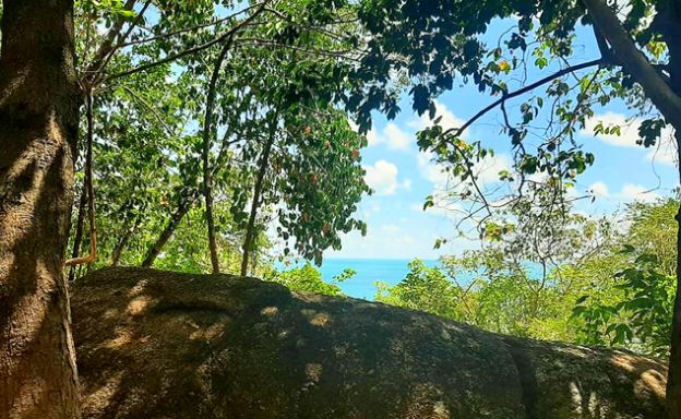 Close-up Panoramic Sea view Land Plot on Crystal Bay