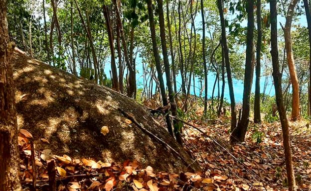 Close-up Panoramic Sea view Land Plot on Crystal Bay