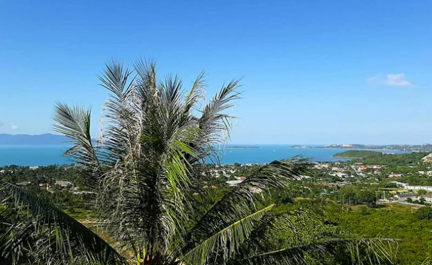 Panoramic Sea view Land for Sale on Bophut Hillside