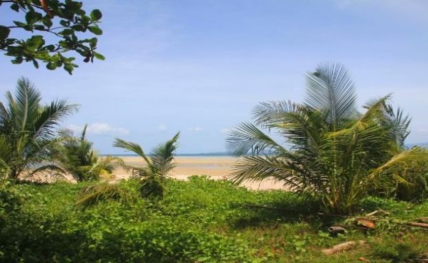 Exclusive Beachfront Land in Bantai, Koh Phangan