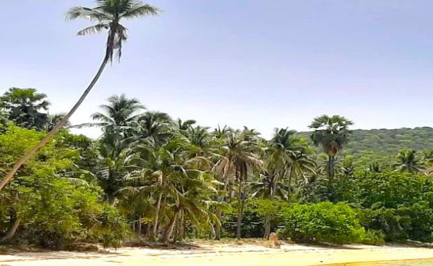 Koh Tan Beachfront Land for Sale Pristine Private Bay