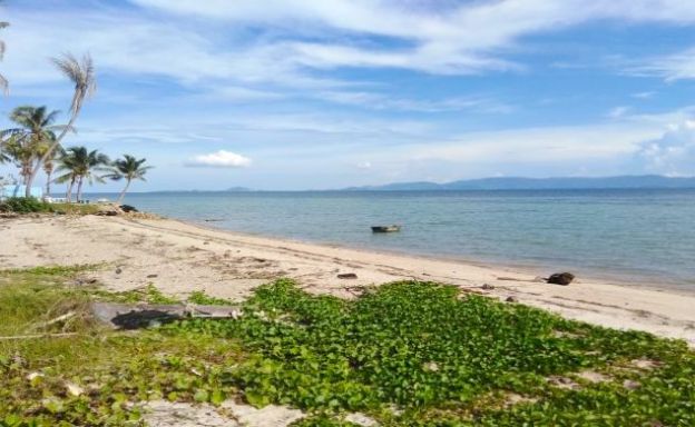 Prime Koh Phangan Beachfront Land in Ban Tai