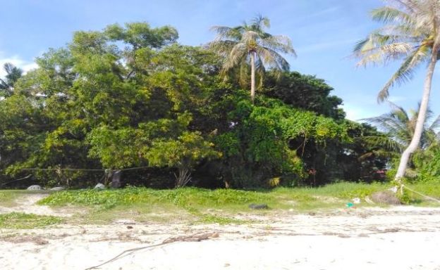 Prime Koh Phangan Beachfront Land in Ban Tai