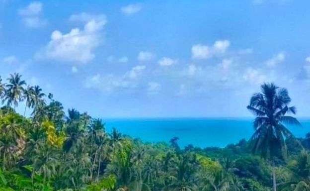 Good Sea View Land for Sale in Lamai Hillside