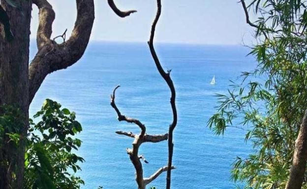 Exclusive Oceanfront Headland Plot for Sale in Phuket