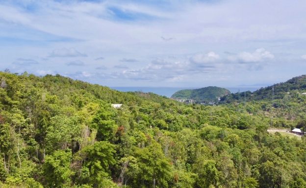 koh-phangan-pool-villas-for-sale-2-bed