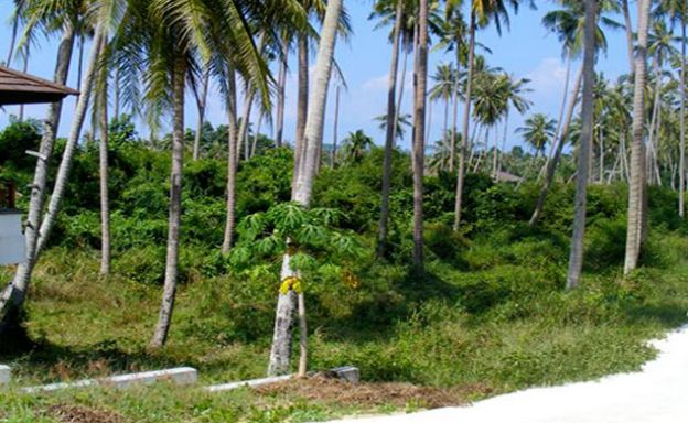 Peaceful Plot of Freehold Land by Samui Golf Course