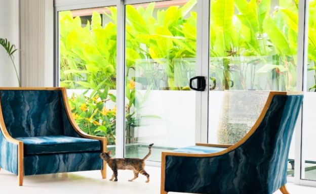Modern 3 Bedroom Pool Villa for Sale in Maenam