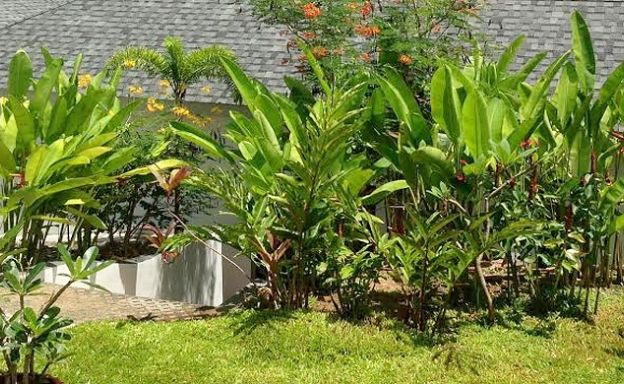 Tropical 3 Bedroom Private Pool Villa in Lamai 