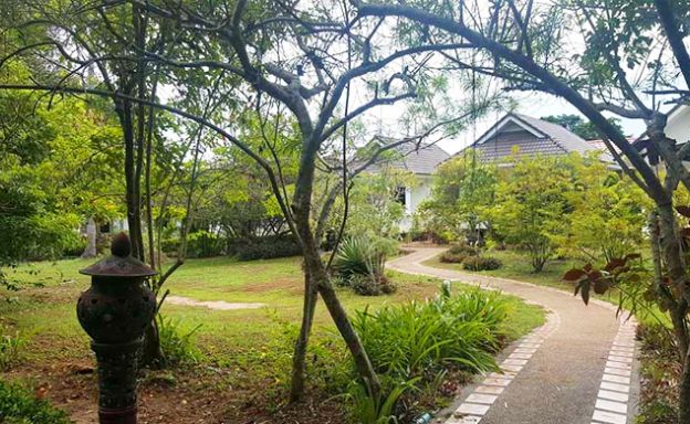 Unique Beachfront Land for Sale in Choeng Mon