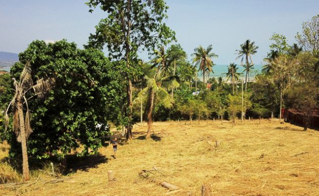 Premium 1 Rai Sea View Land for Sale in Plai Laem